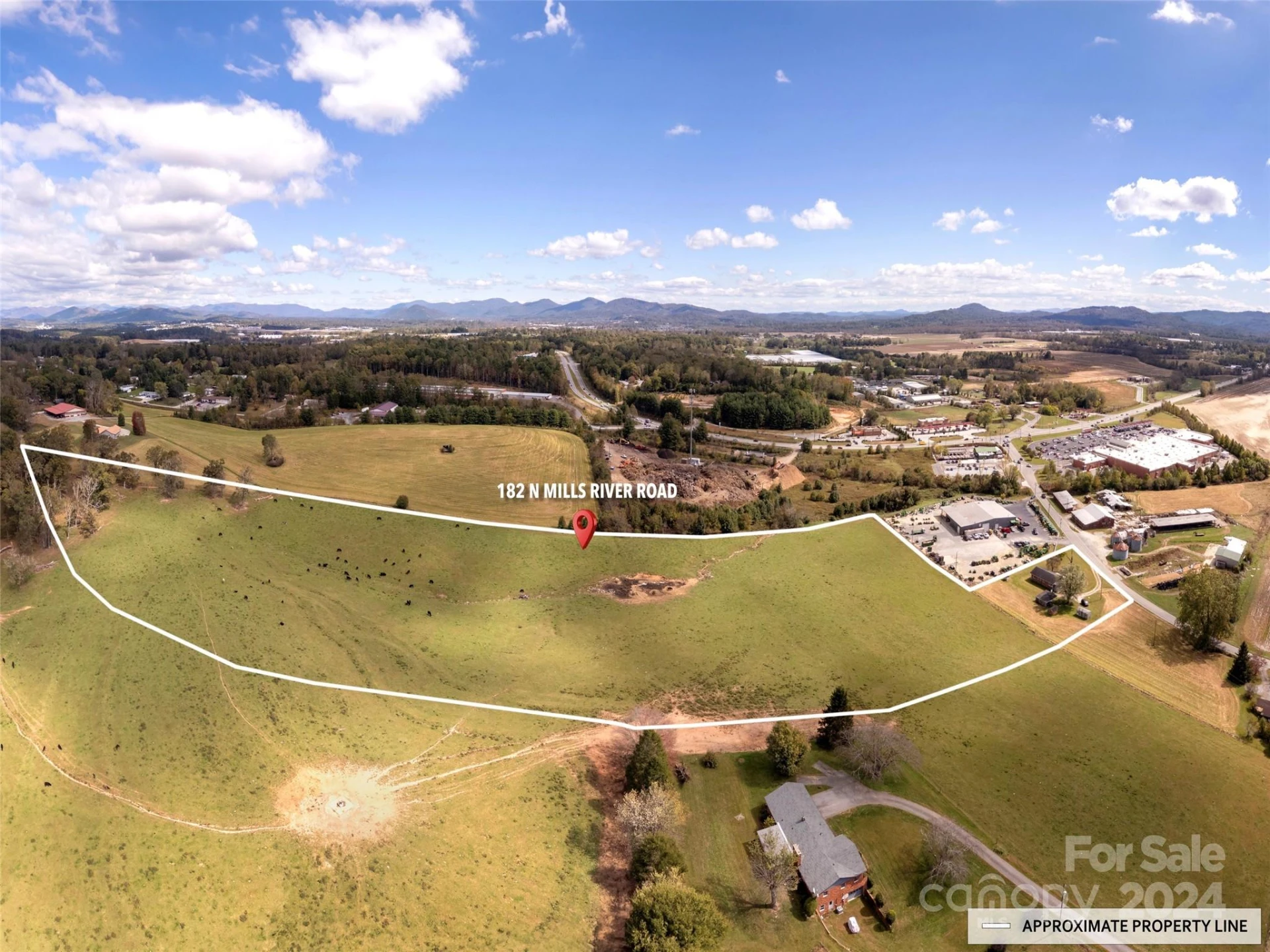 182 N Mills River Road - Photo 3