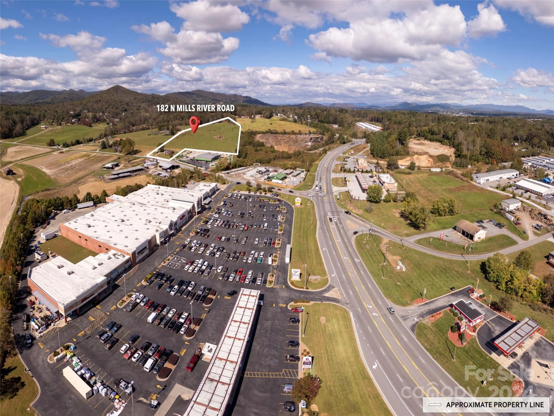 182 N Mills River Road - Photo 7