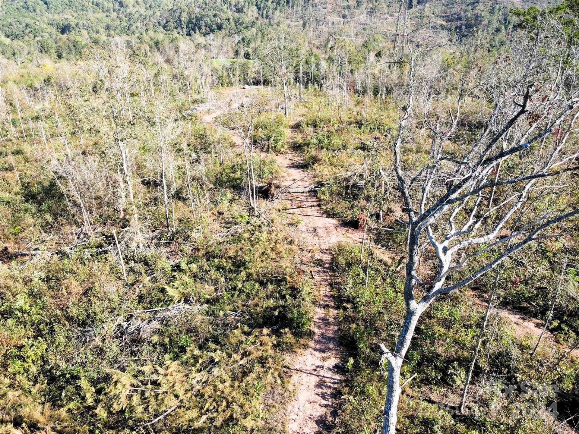 01 US 64 Highway - Photo 26