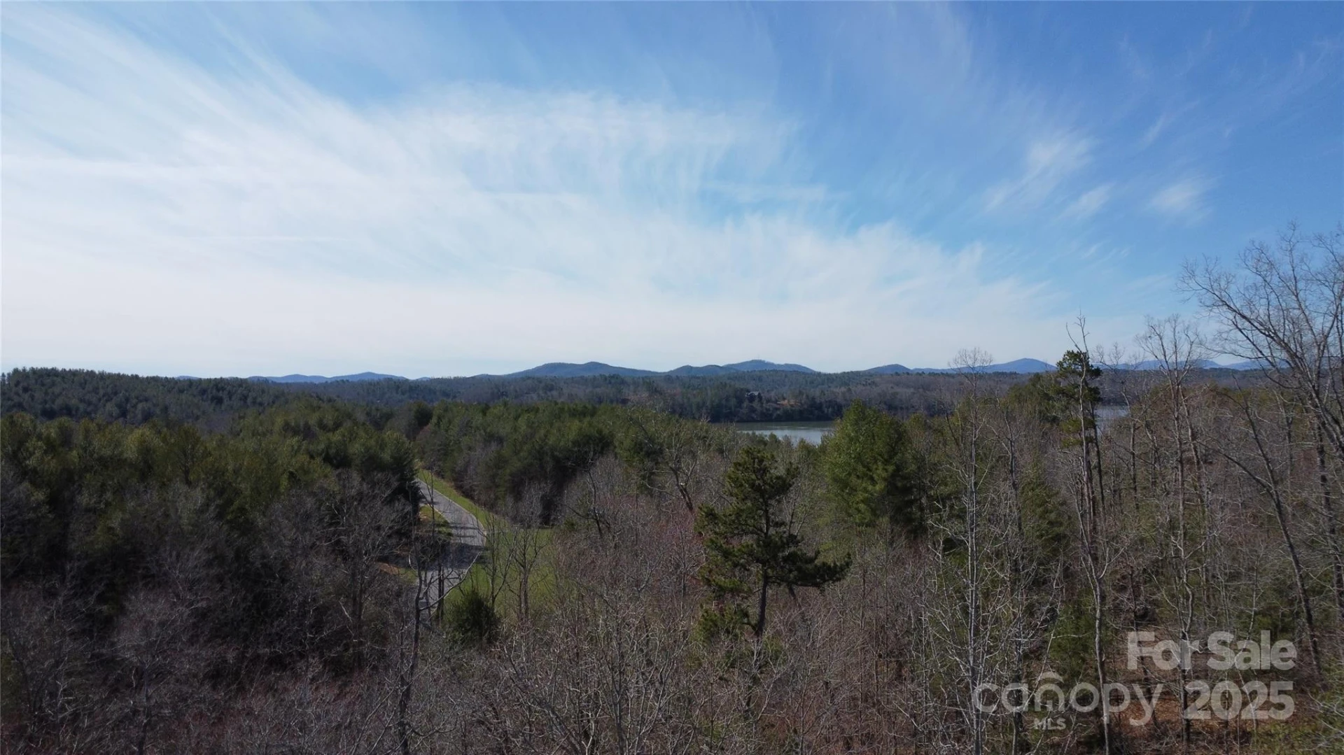 V/L Ridge Point Road #9 - Photo 14