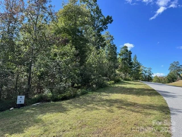 V/L Ridge Point Road #9 - Photo 3