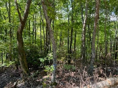Lot G-43 Odalu Trail #G43 - Photo 4