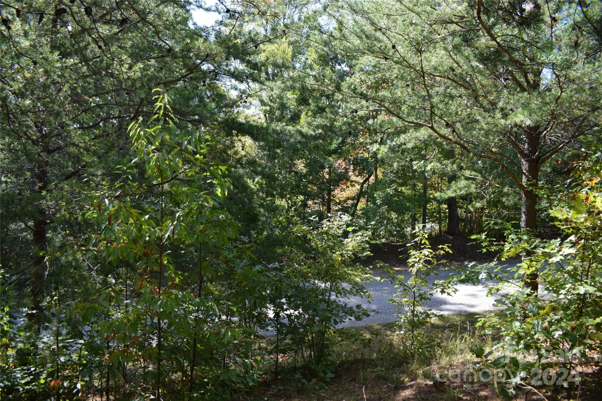 0 Holland Drive #3 - Photo 2