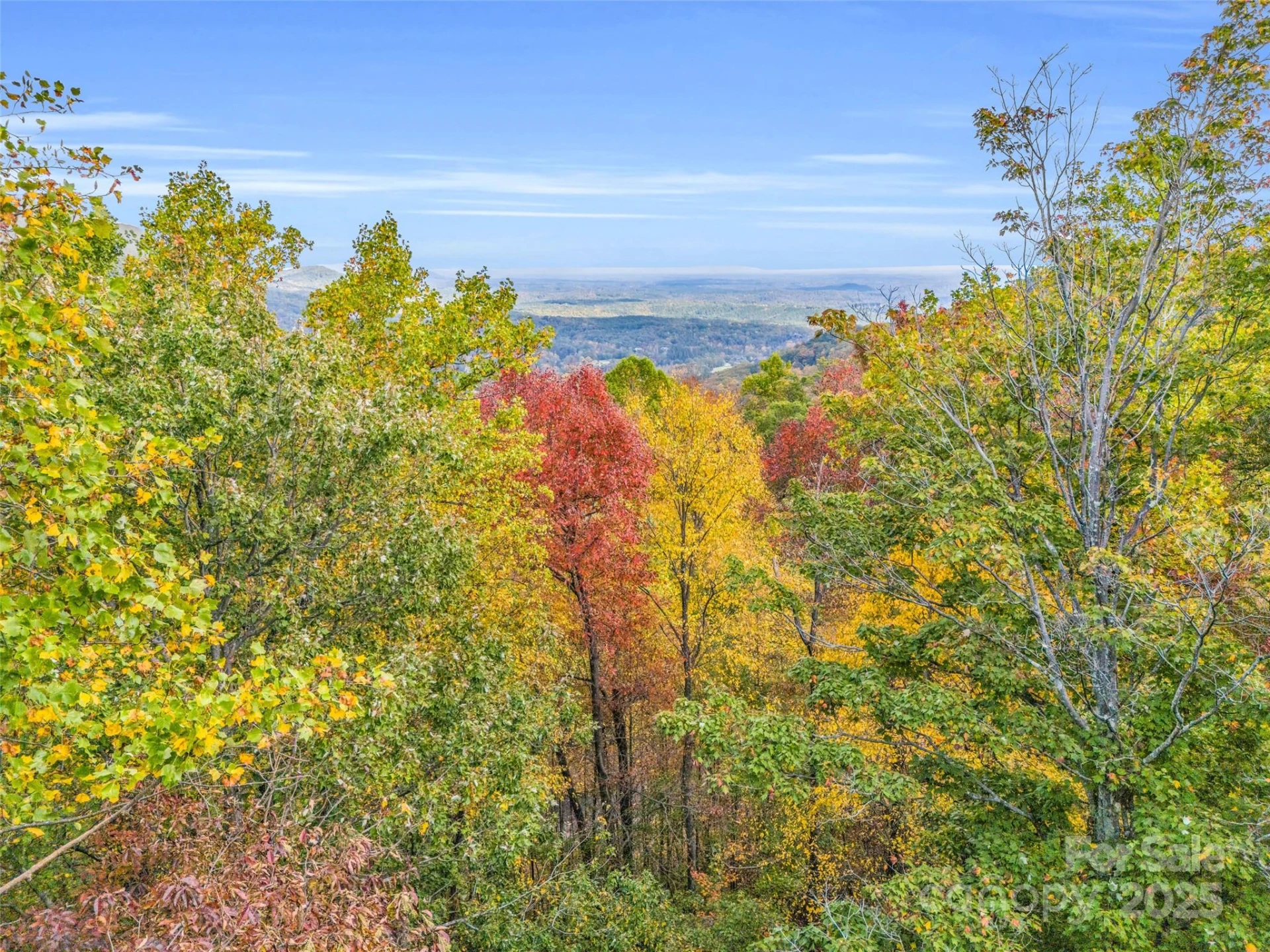 2140 Harm Creek Loop - Photo 24