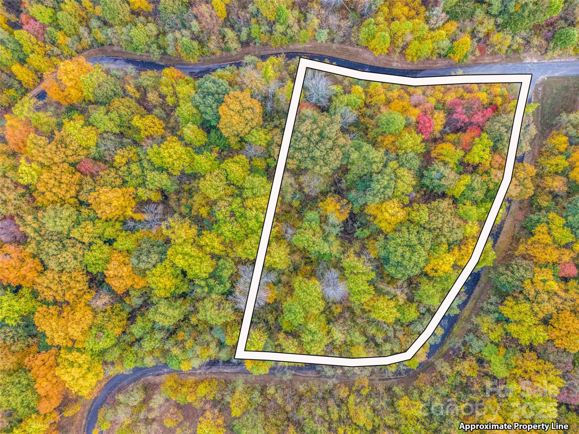 2140 Harm Creek Loop - Photo 7
