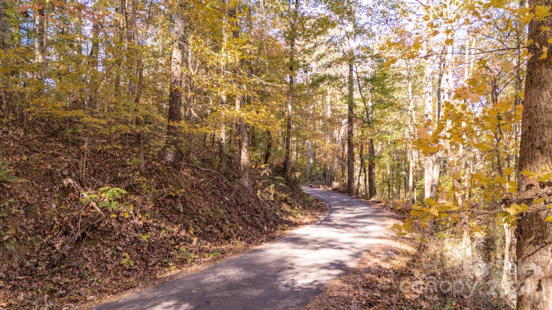 00 N Pinnacle Drive #3 - Photo 11