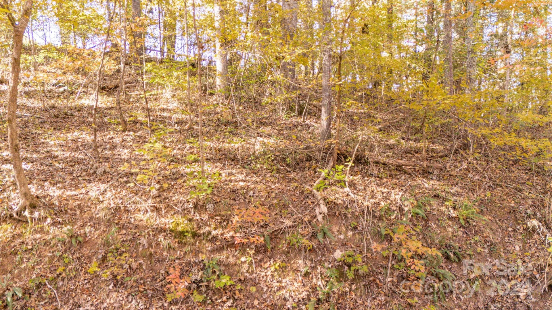 00 N Pinnacle Drive #3 - Photo 13