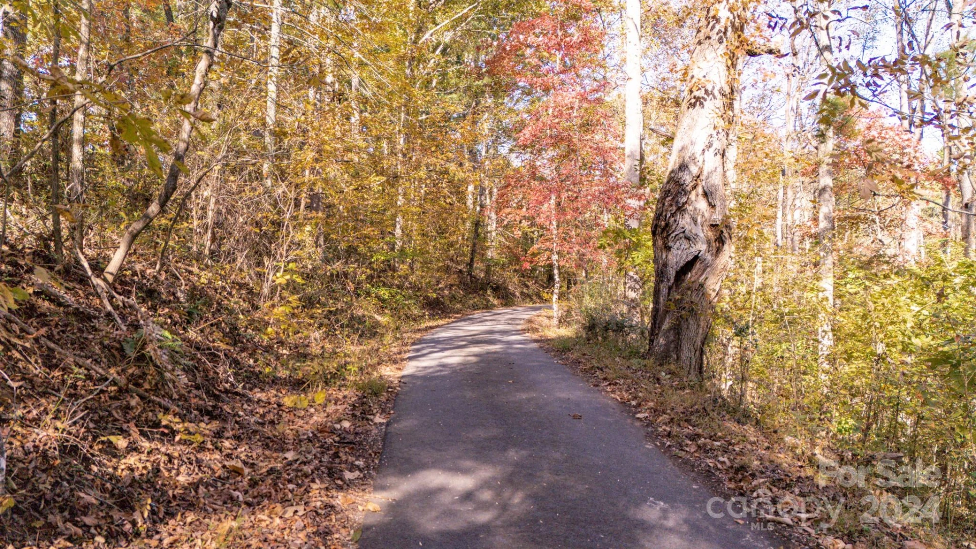 00 N Pinnacle Drive #3 - Photo 15
