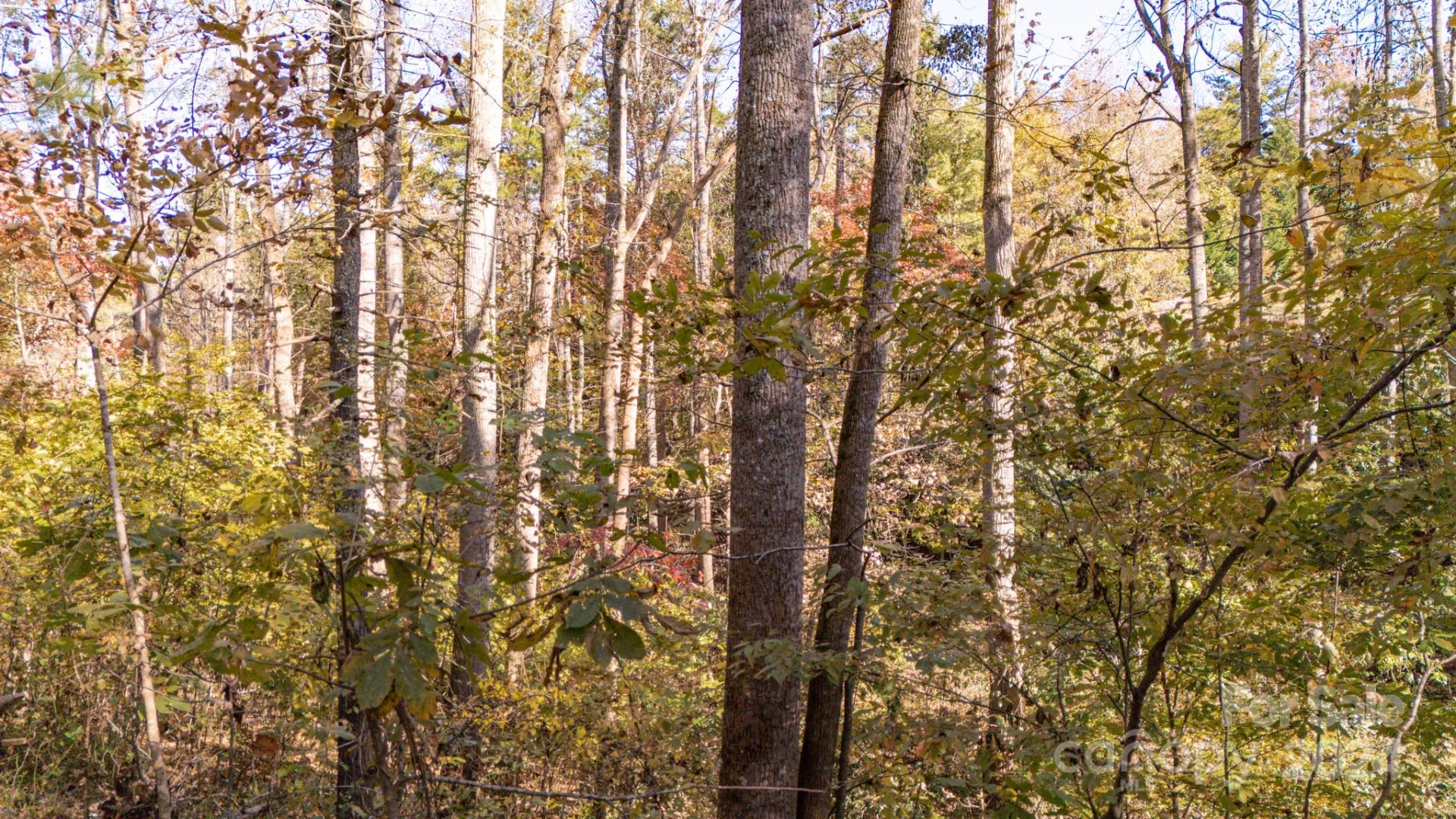 00 N Pinnacle Drive #3 - Photo 16