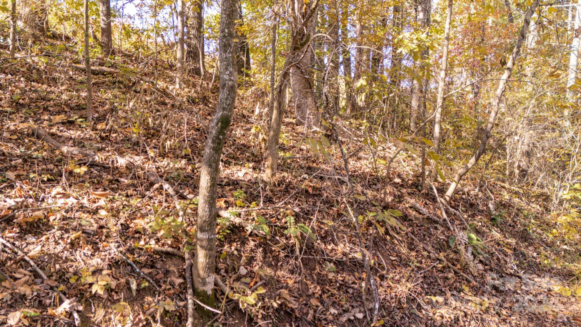 00 N Pinnacle Drive #3 - Photo 17