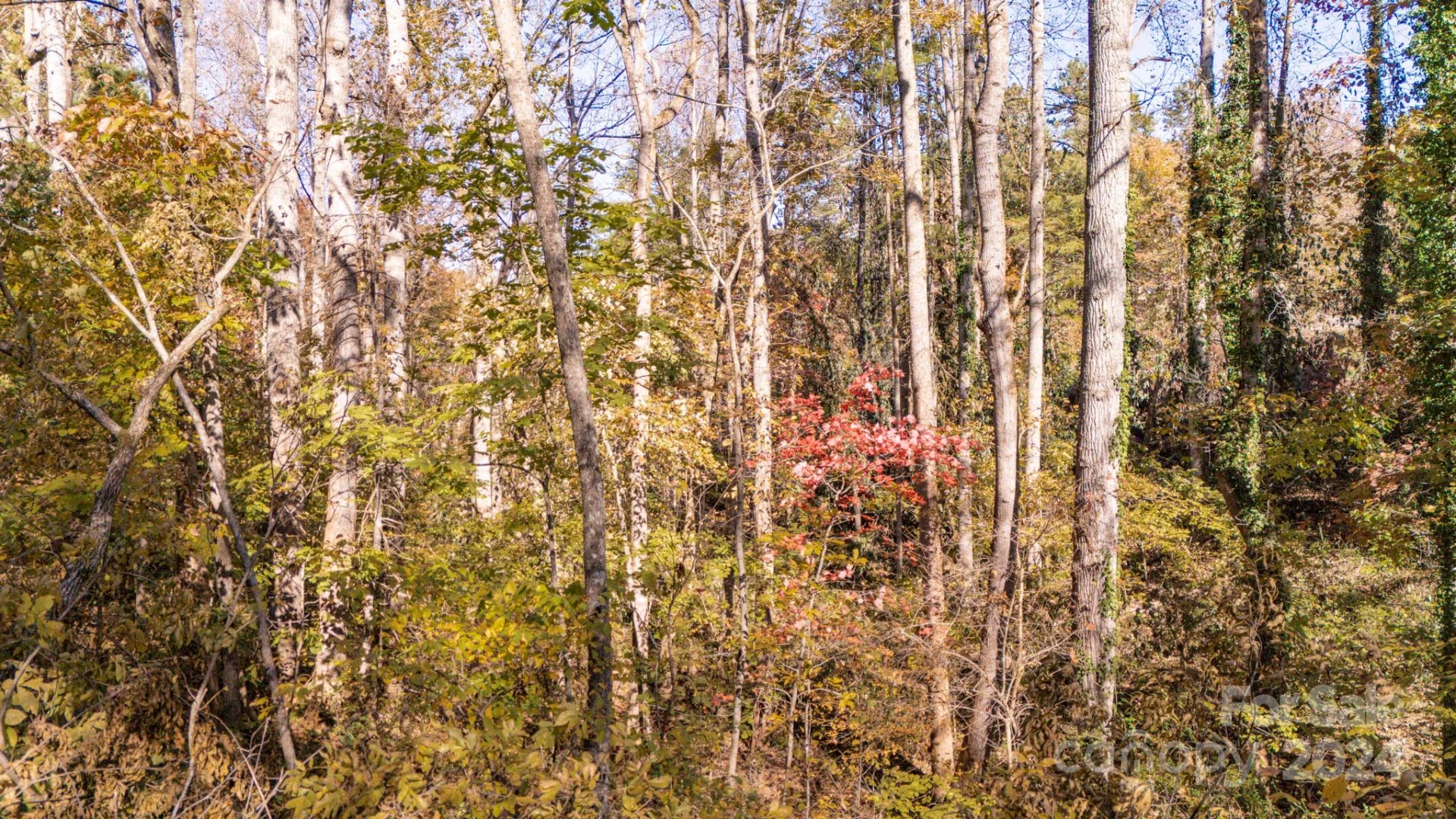 00 N Pinnacle Drive #3 - Photo 19