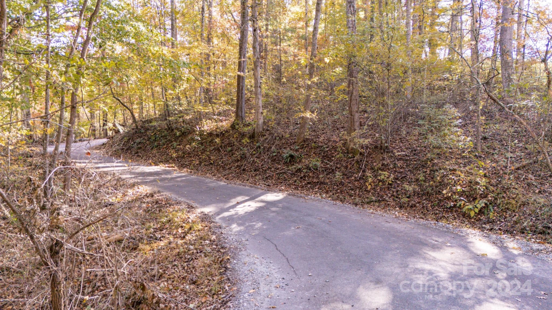 00 N Pinnacle Drive #3 - Photo 3