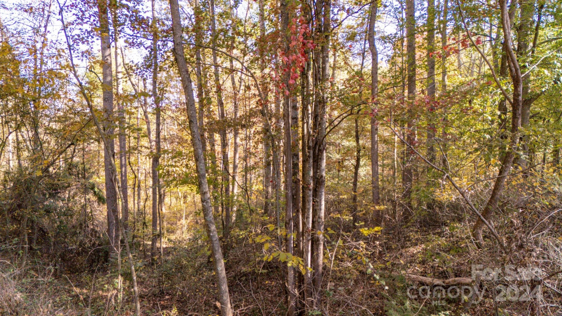 00 N Pinnacle Drive #3 - Photo 4