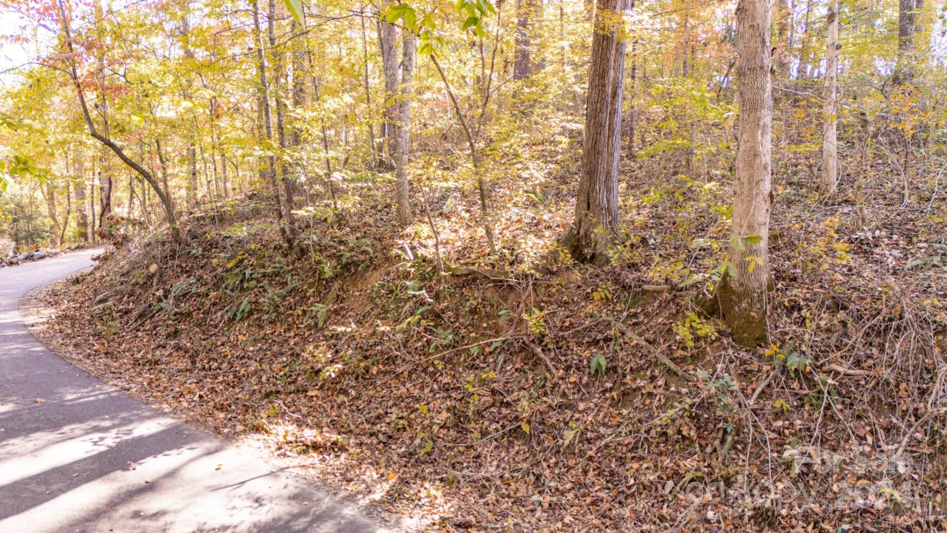 00 N Pinnacle Drive #3 - Photo 7