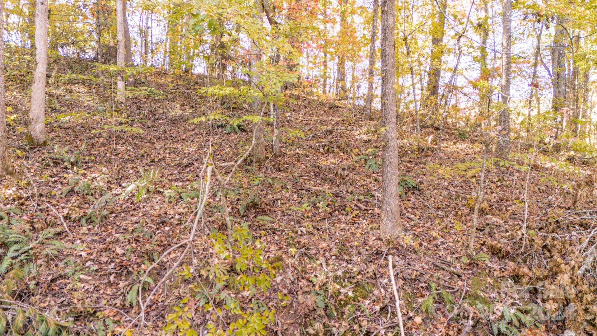 00 N Pinnacle Drive #3 - Photo 8