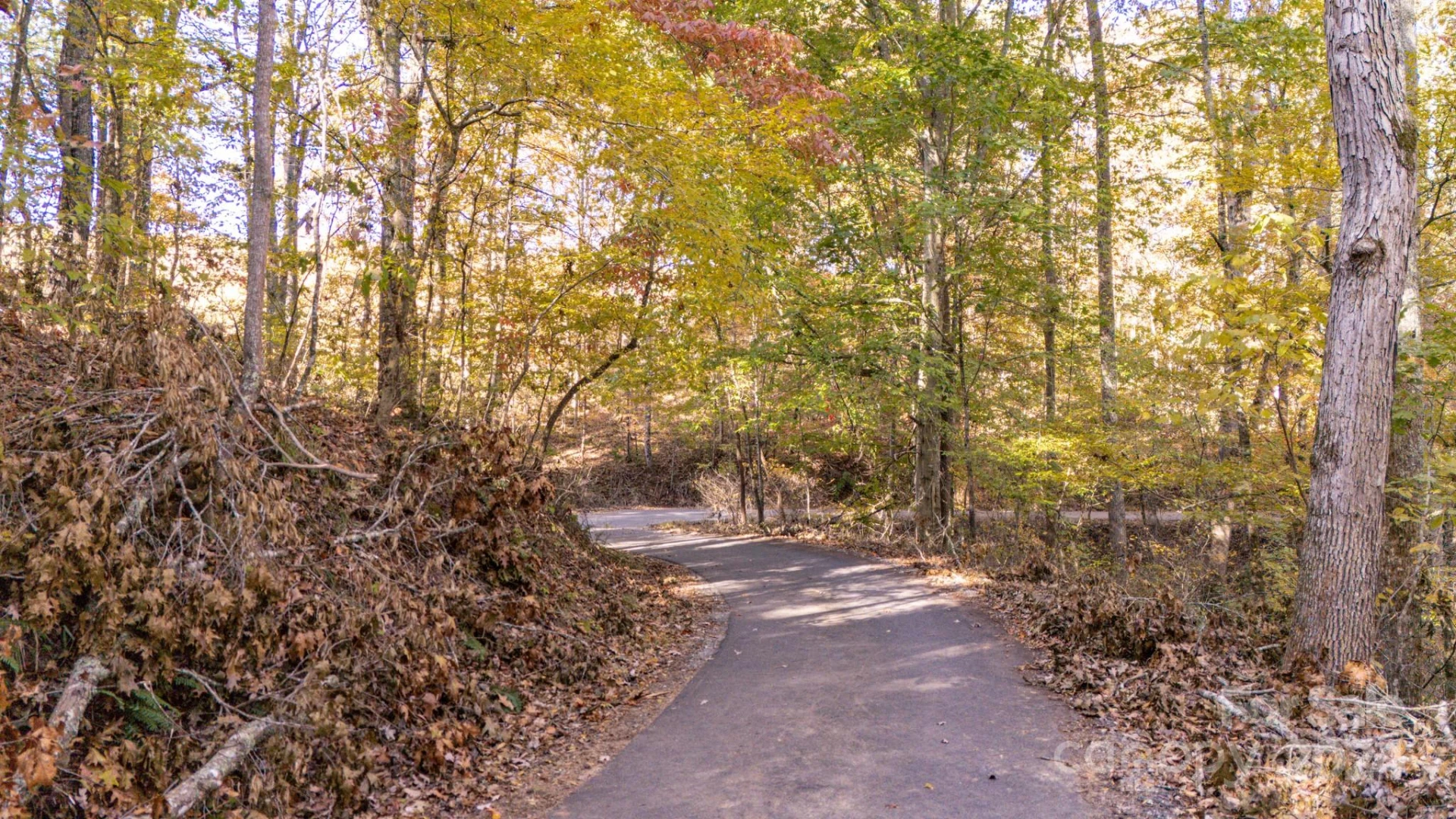 00 N Pinnacle Drive #3 - Photo 9