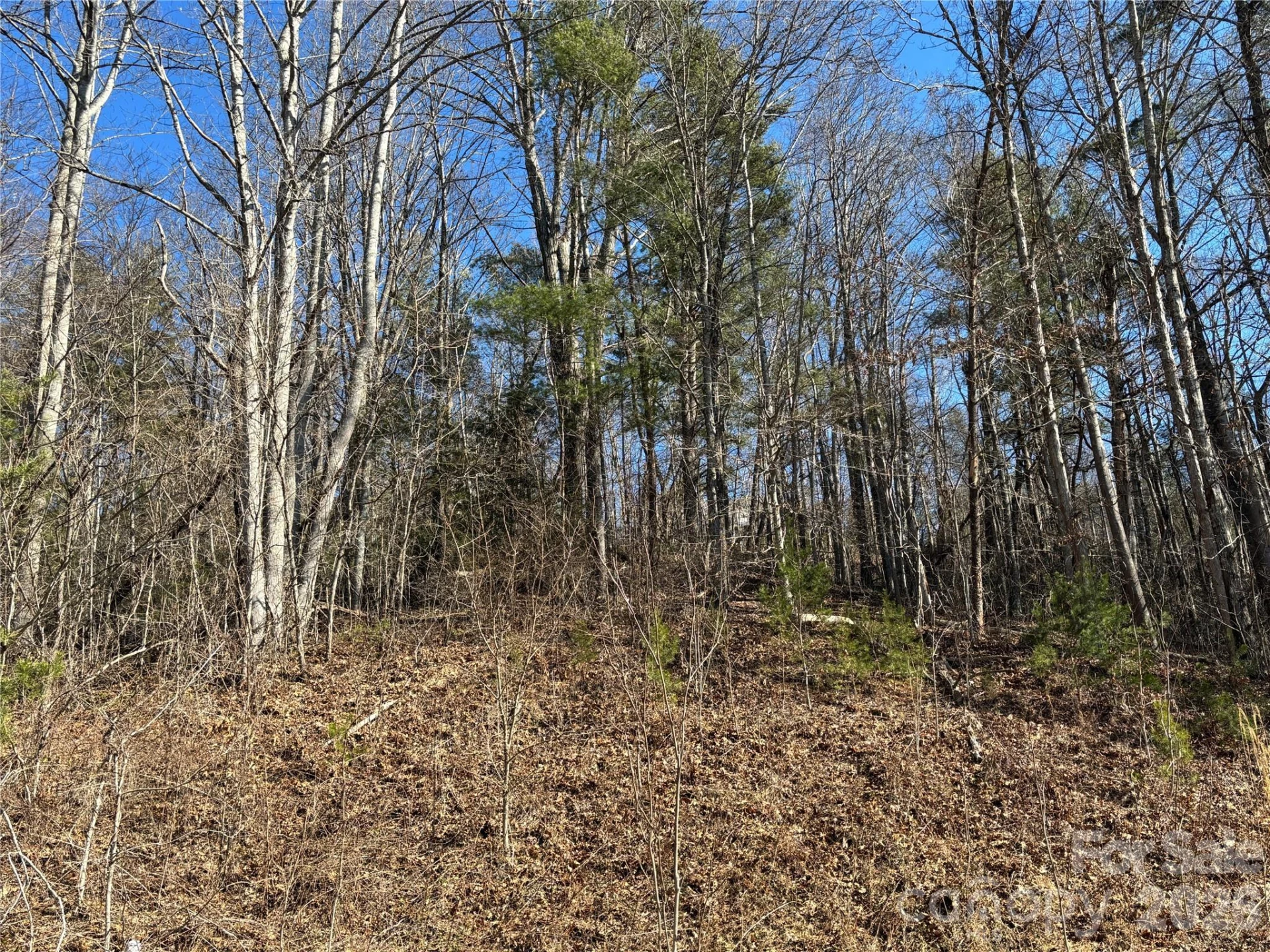 66 HawTree Court #266 - Photo 8