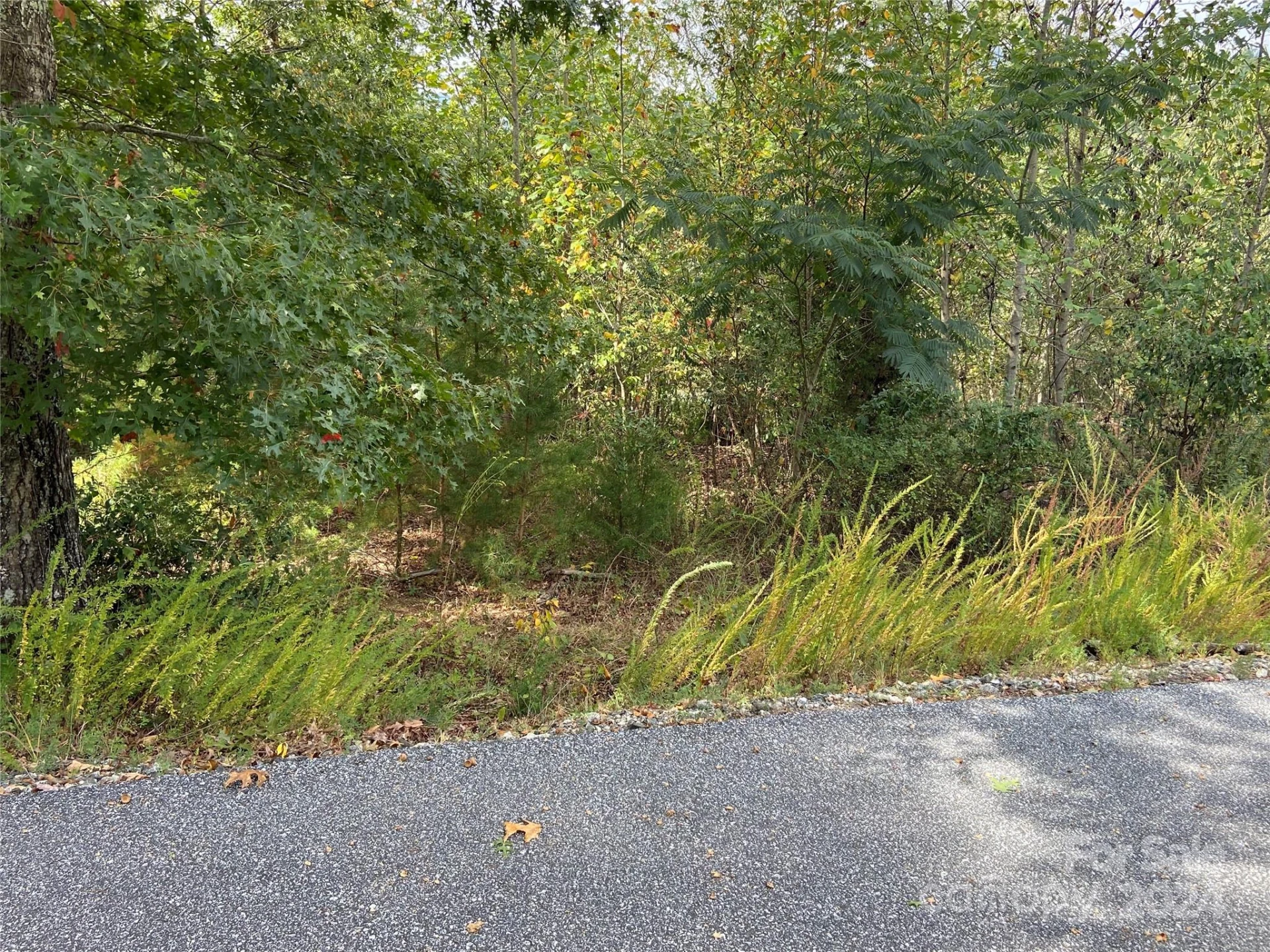0 Willow Top Lane #311 - Photo 4