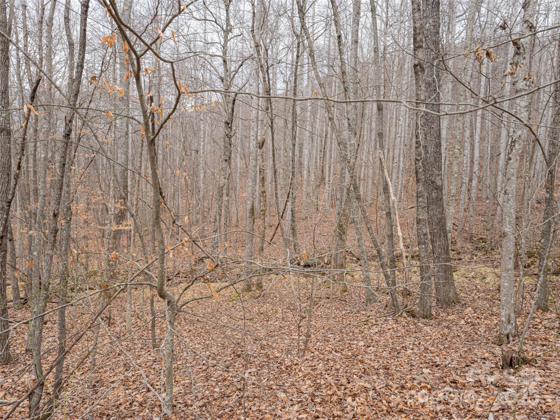 522 & 528 Blue Mist Way - Photo 21