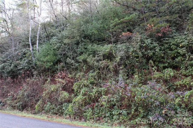 TBD Stamey Creek Road