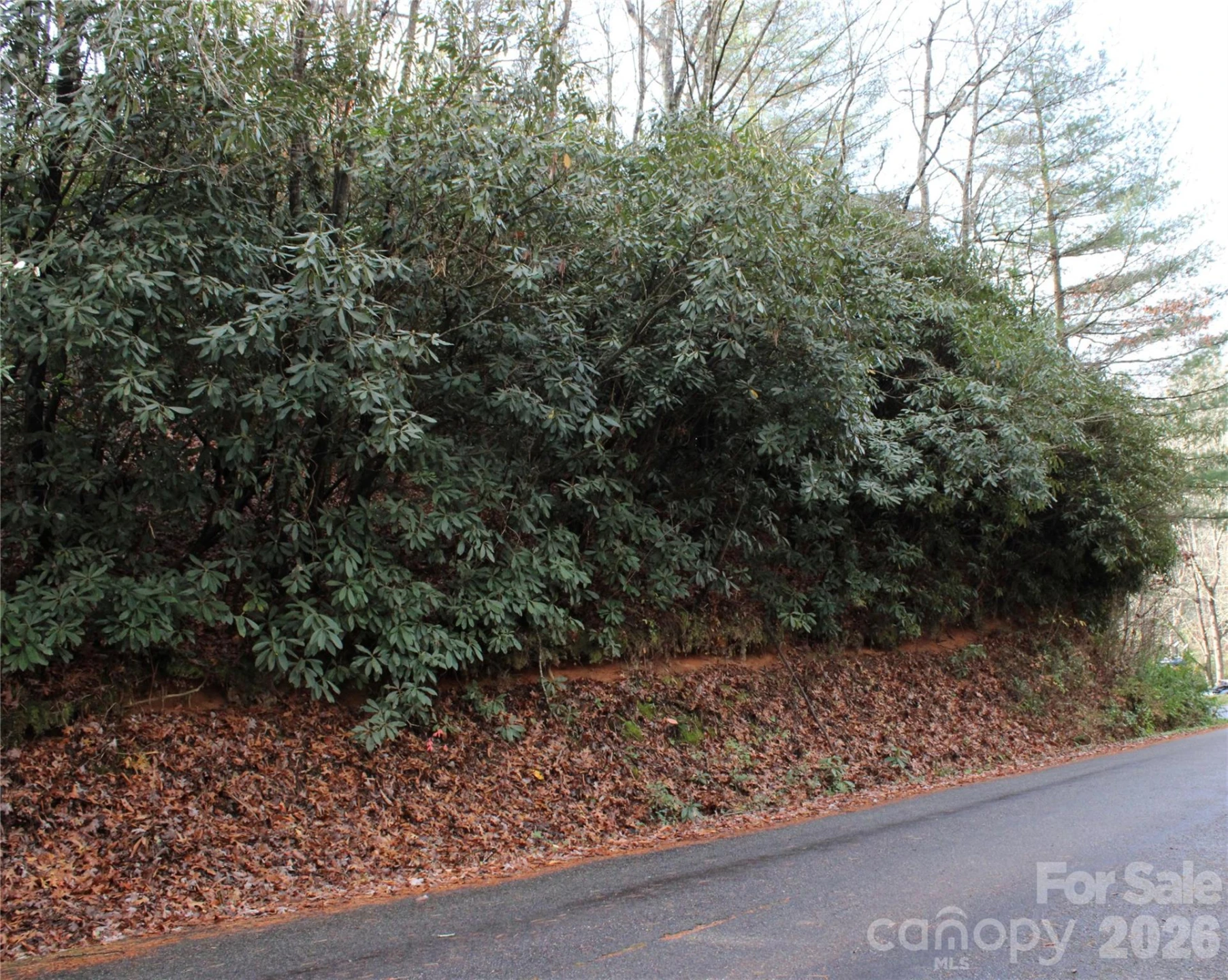 TBD Stamey Creek Road - Photo 2