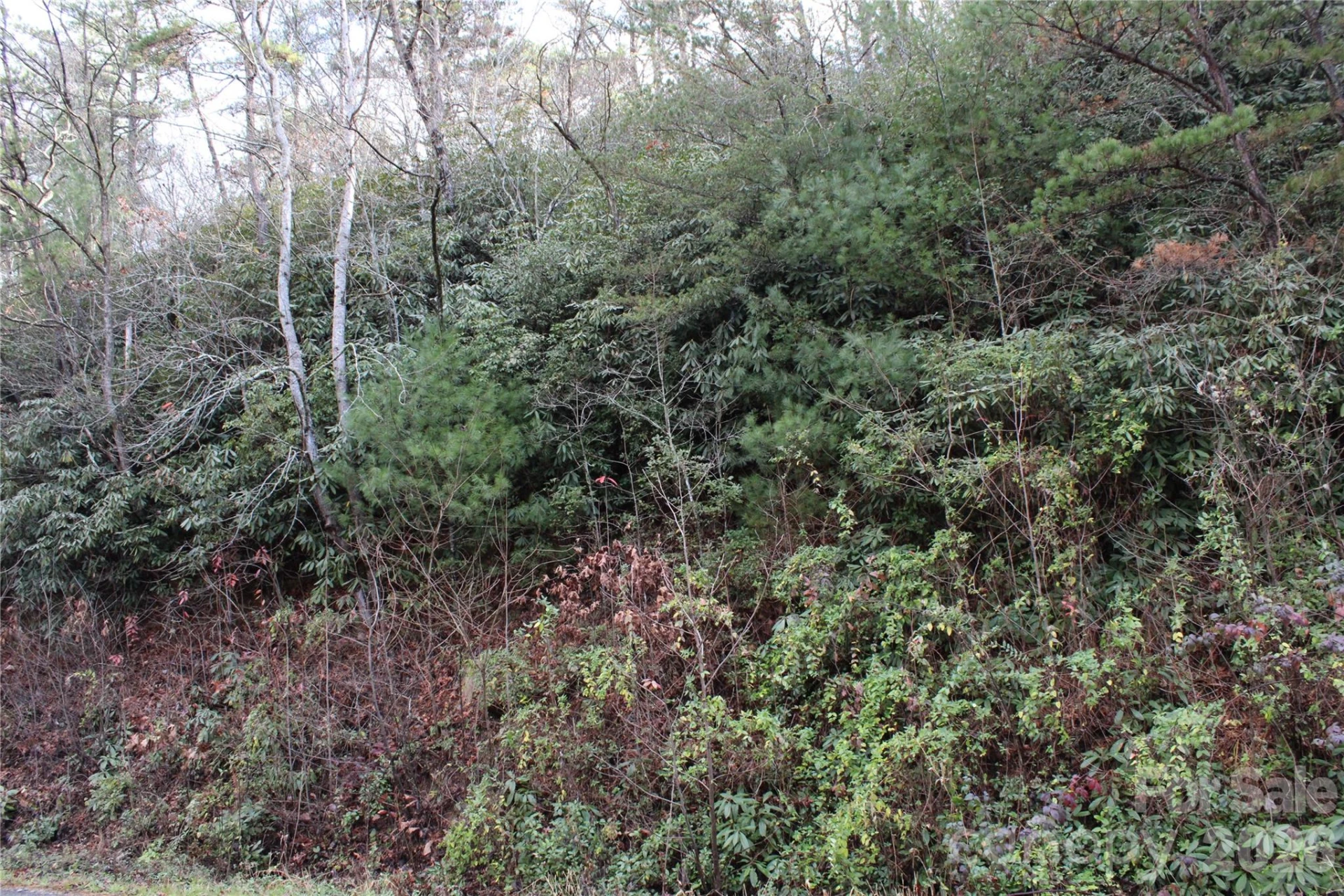 TBD Stamey Creek Road - Photo 3