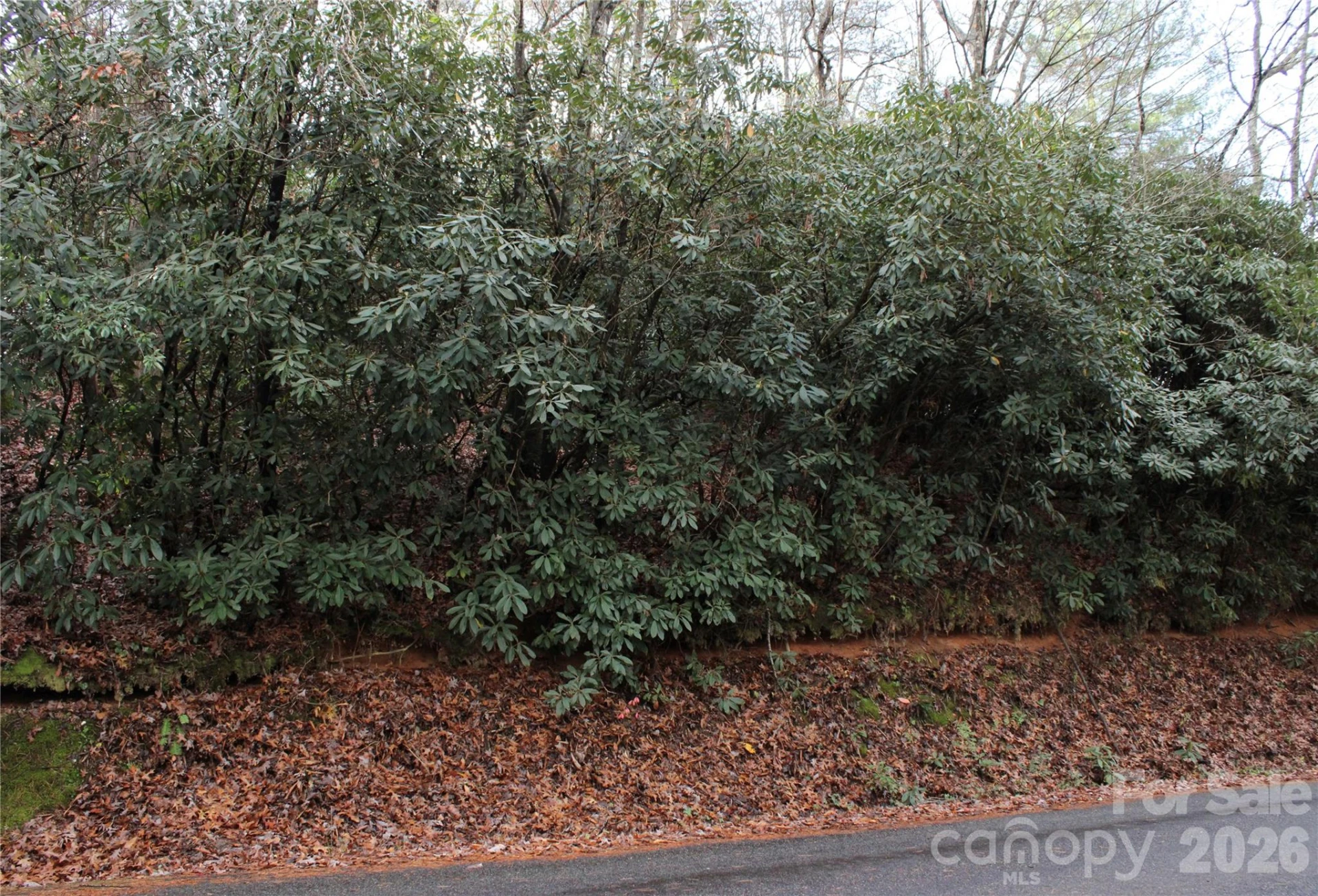 TBD Stamey Creek Road - Photo 4