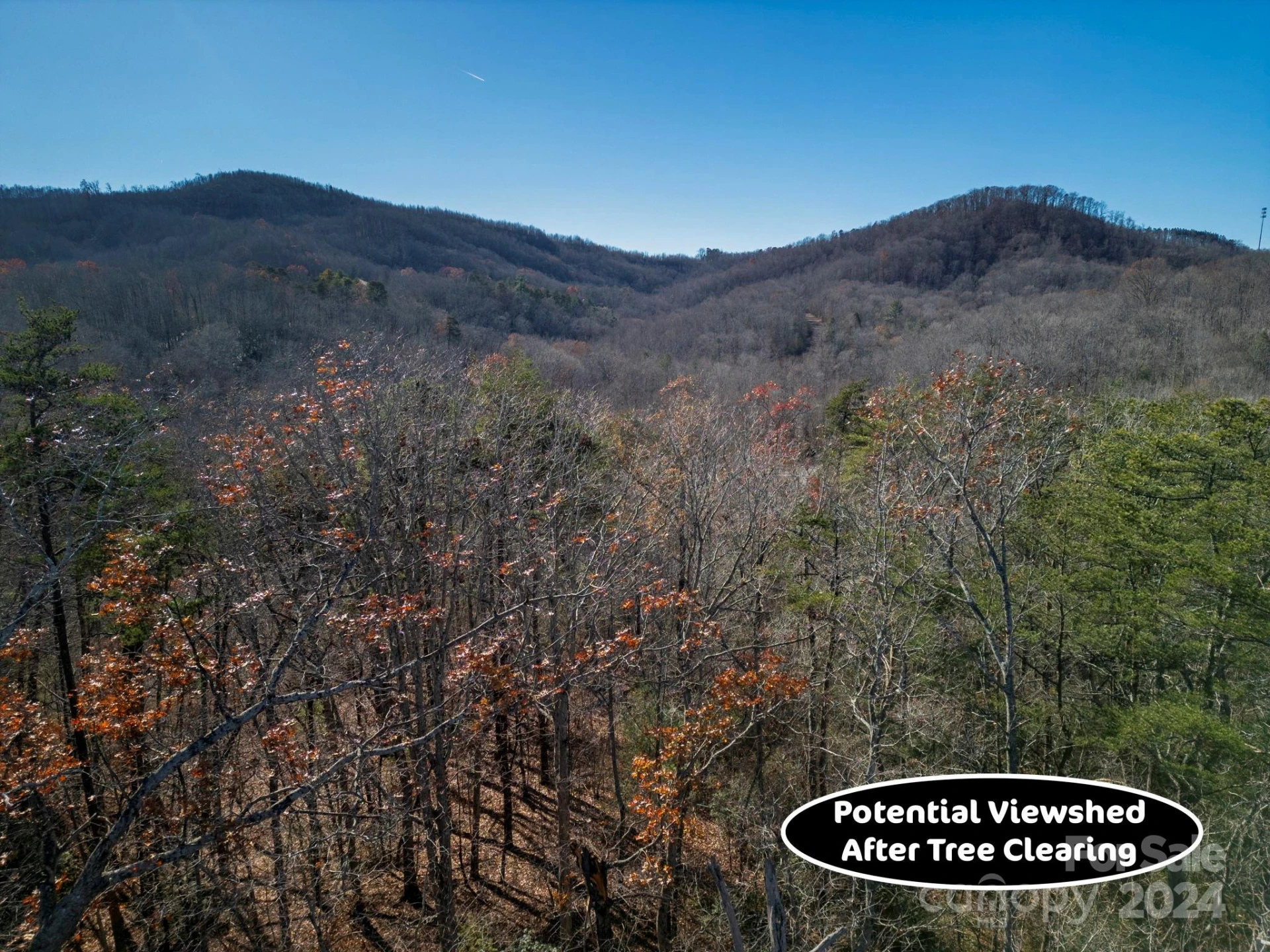 0 Forest Country Drive #60 - Photo 7