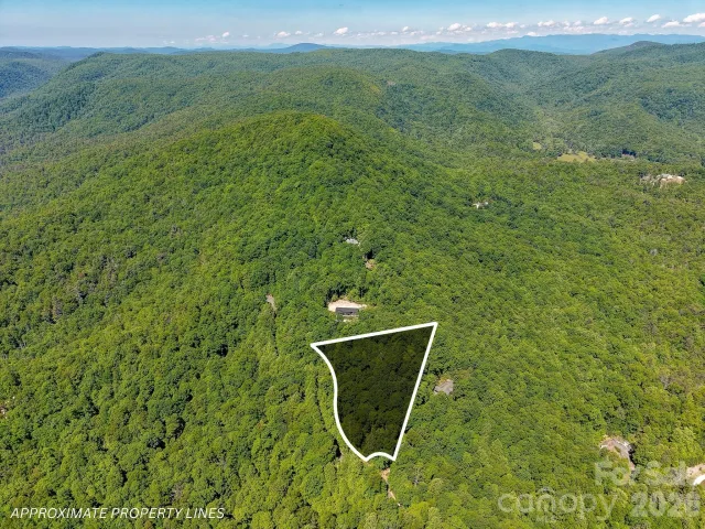 99999 Black Bear Ridge Trail, Zirconia, NC, 28790