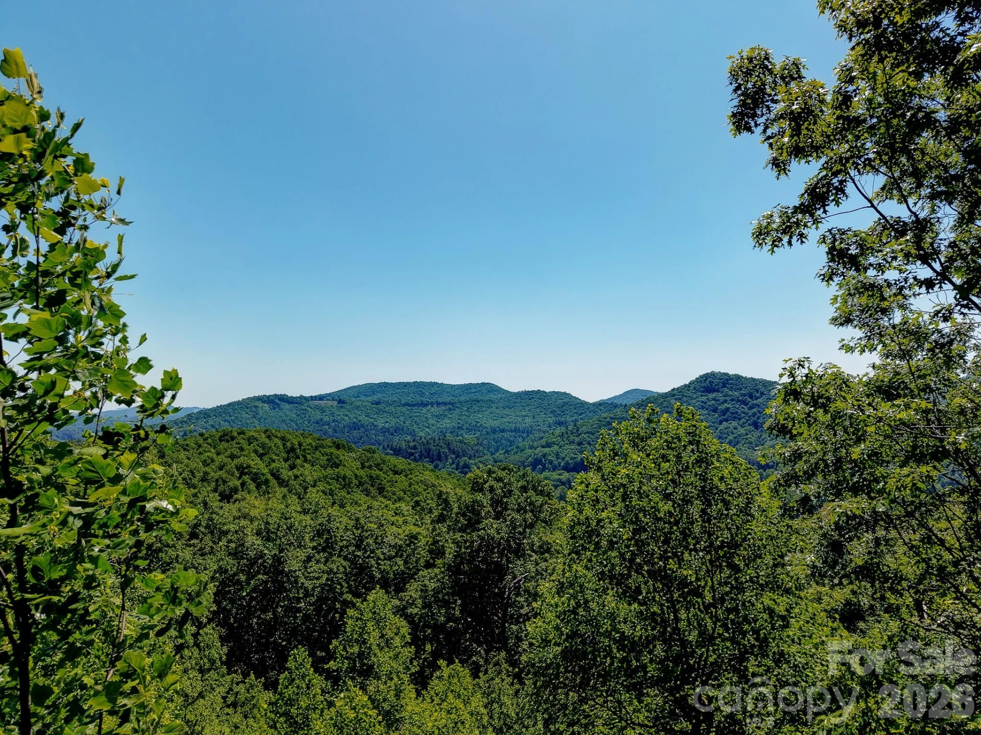 99999 Black Bear Ridge Trail - Photo 2