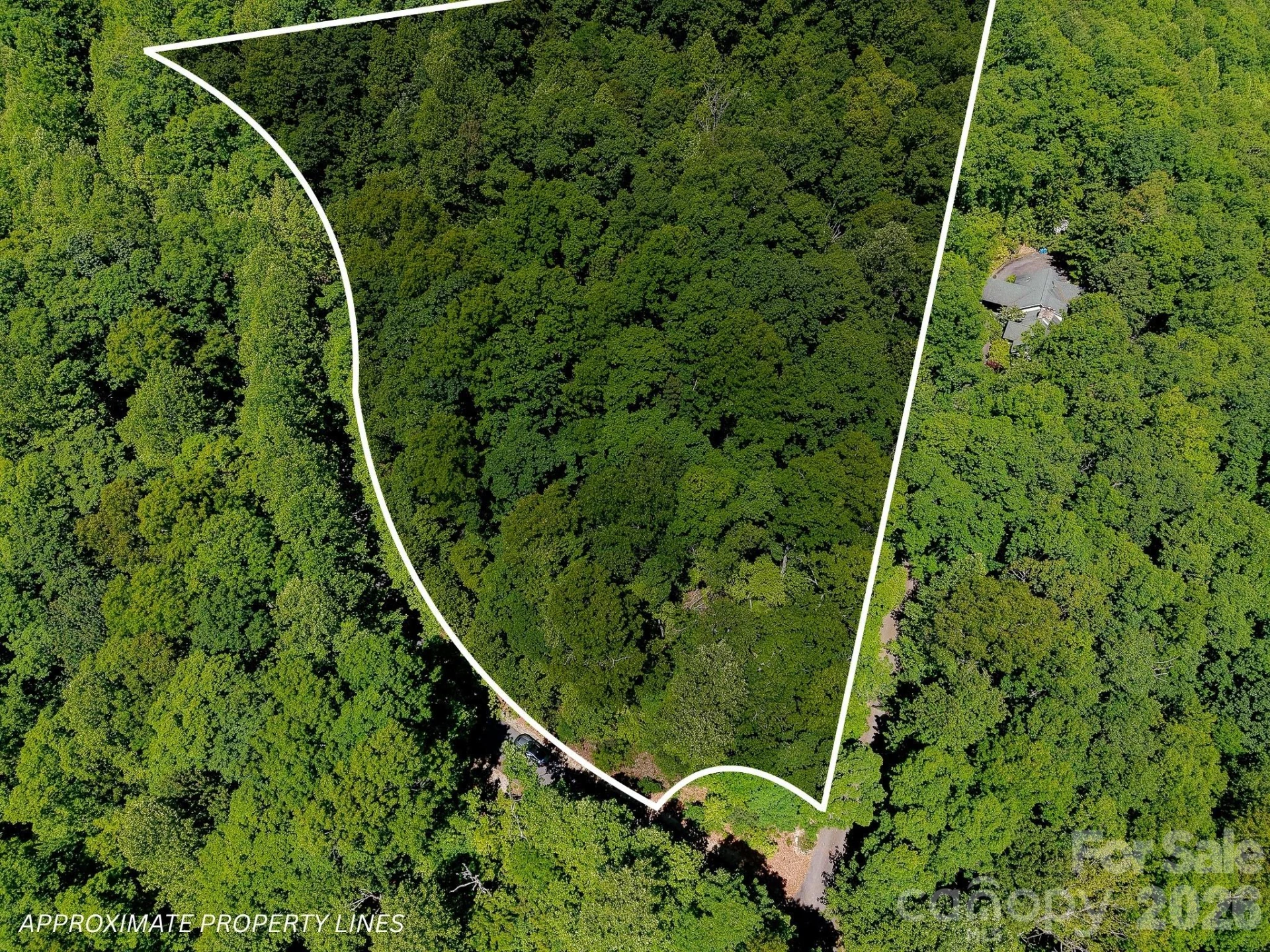 99999 Black Bear Ridge Trail - Photo 11