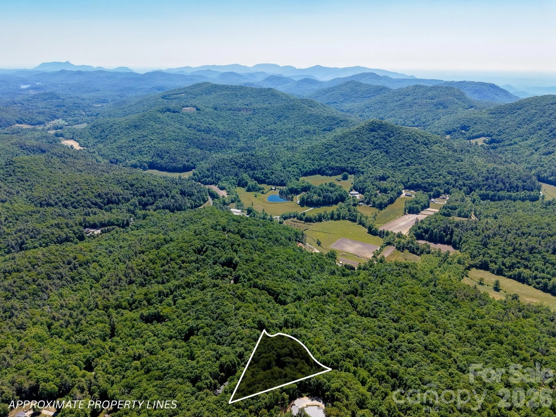 99999 Black Bear Ridge Trail - Photo 12