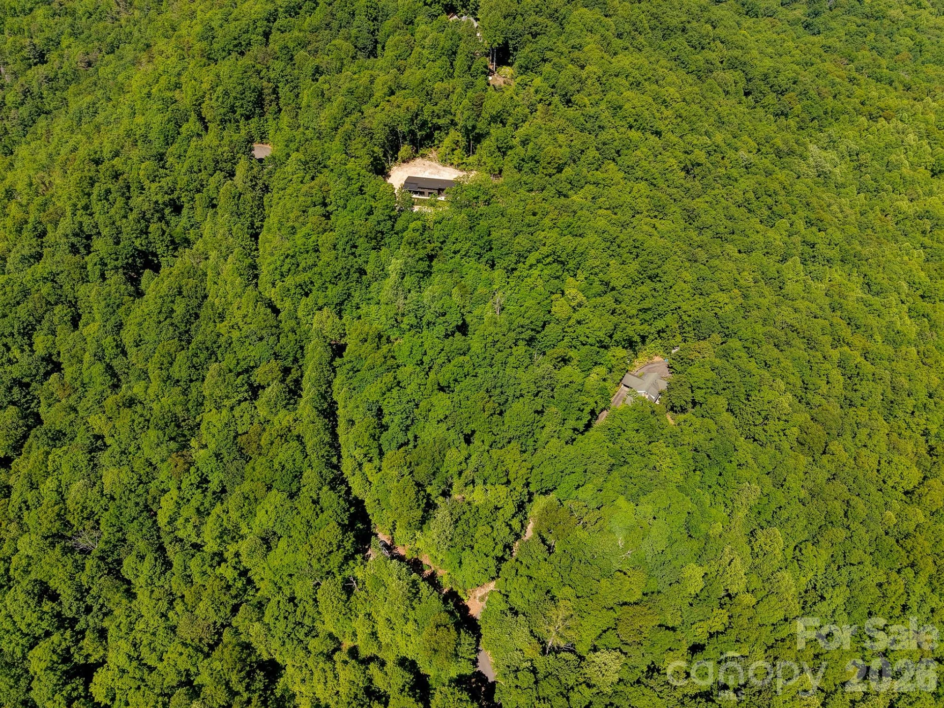 99999 Black Bear Ridge Trail - Photo 13