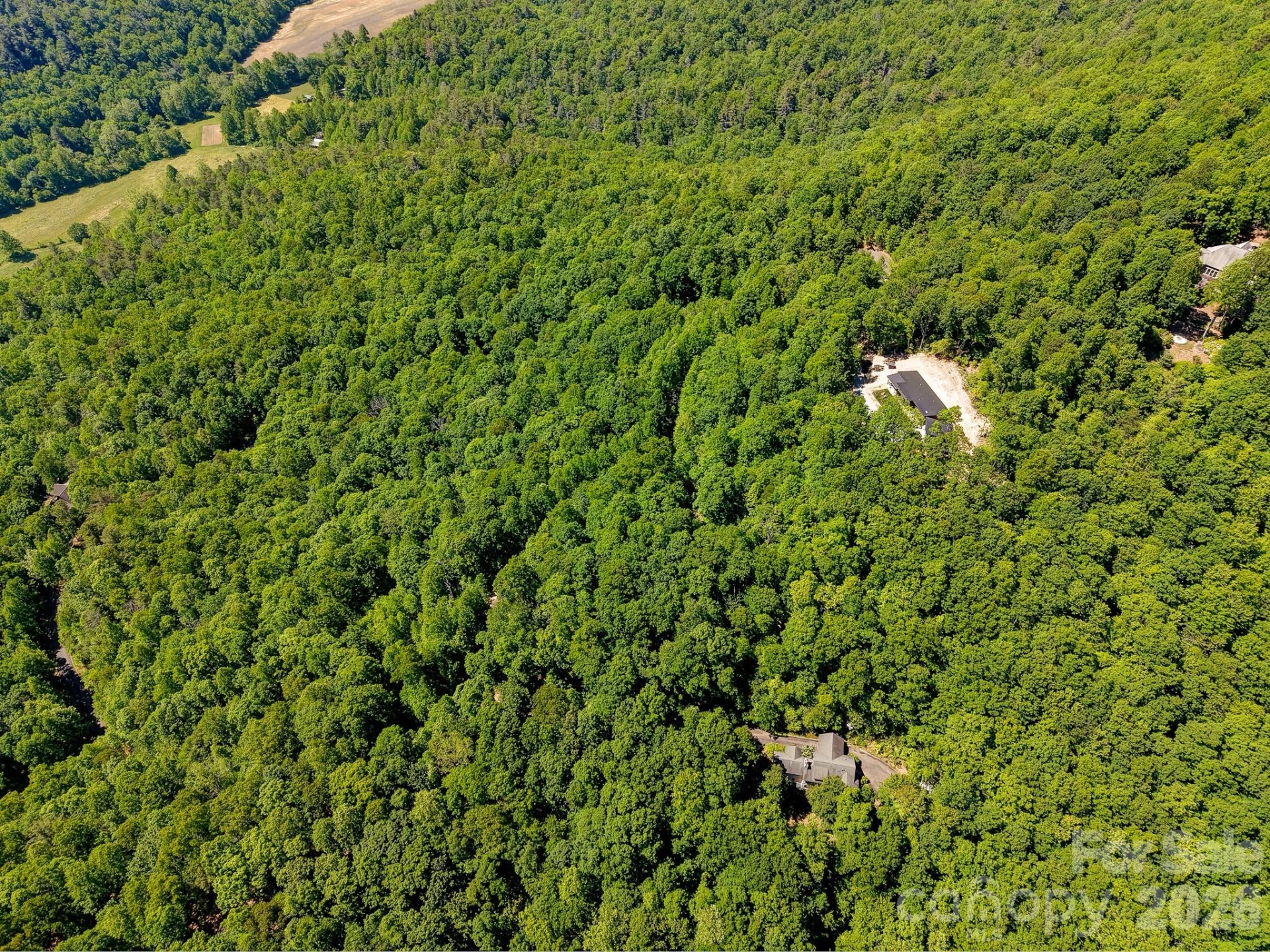 99999 Black Bear Ridge Trail - Photo 14