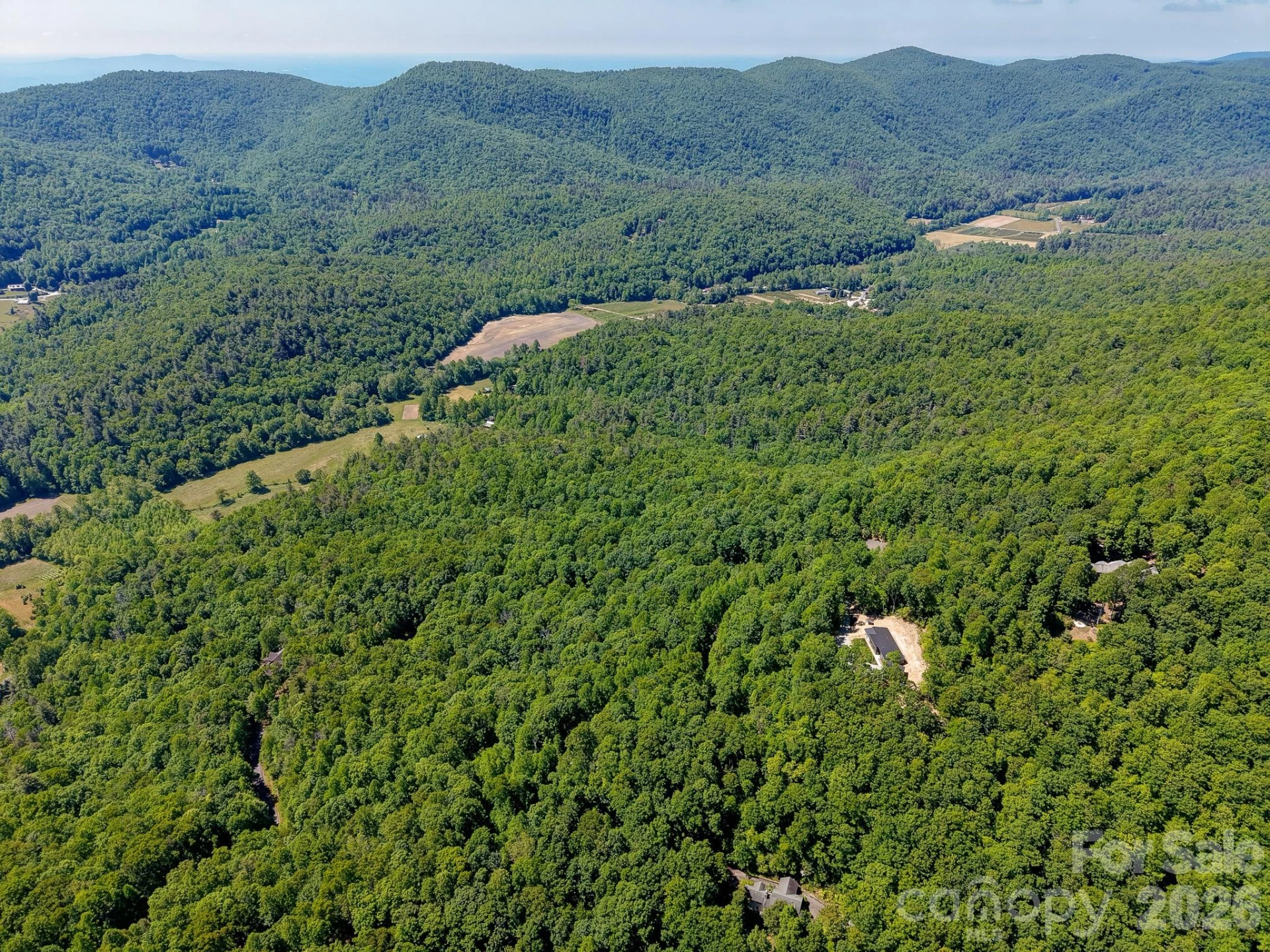 99999 Black Bear Ridge Trail - Photo 15