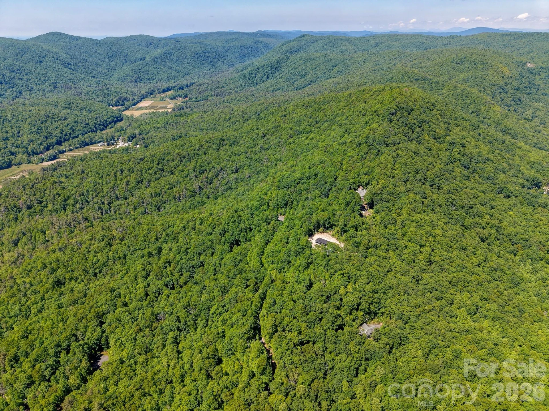 99999 Black Bear Ridge Trail - Photo 16