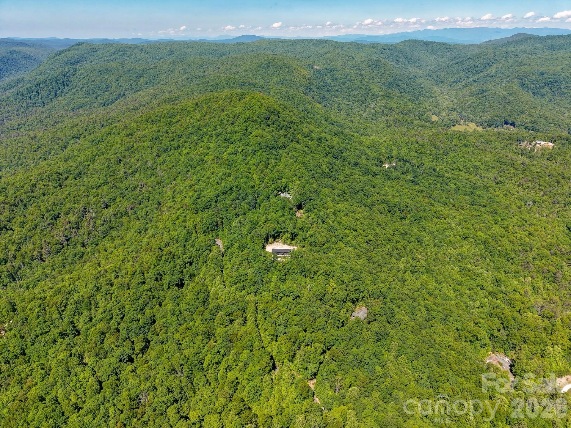 99999 Black Bear Ridge Trail - Photo 17