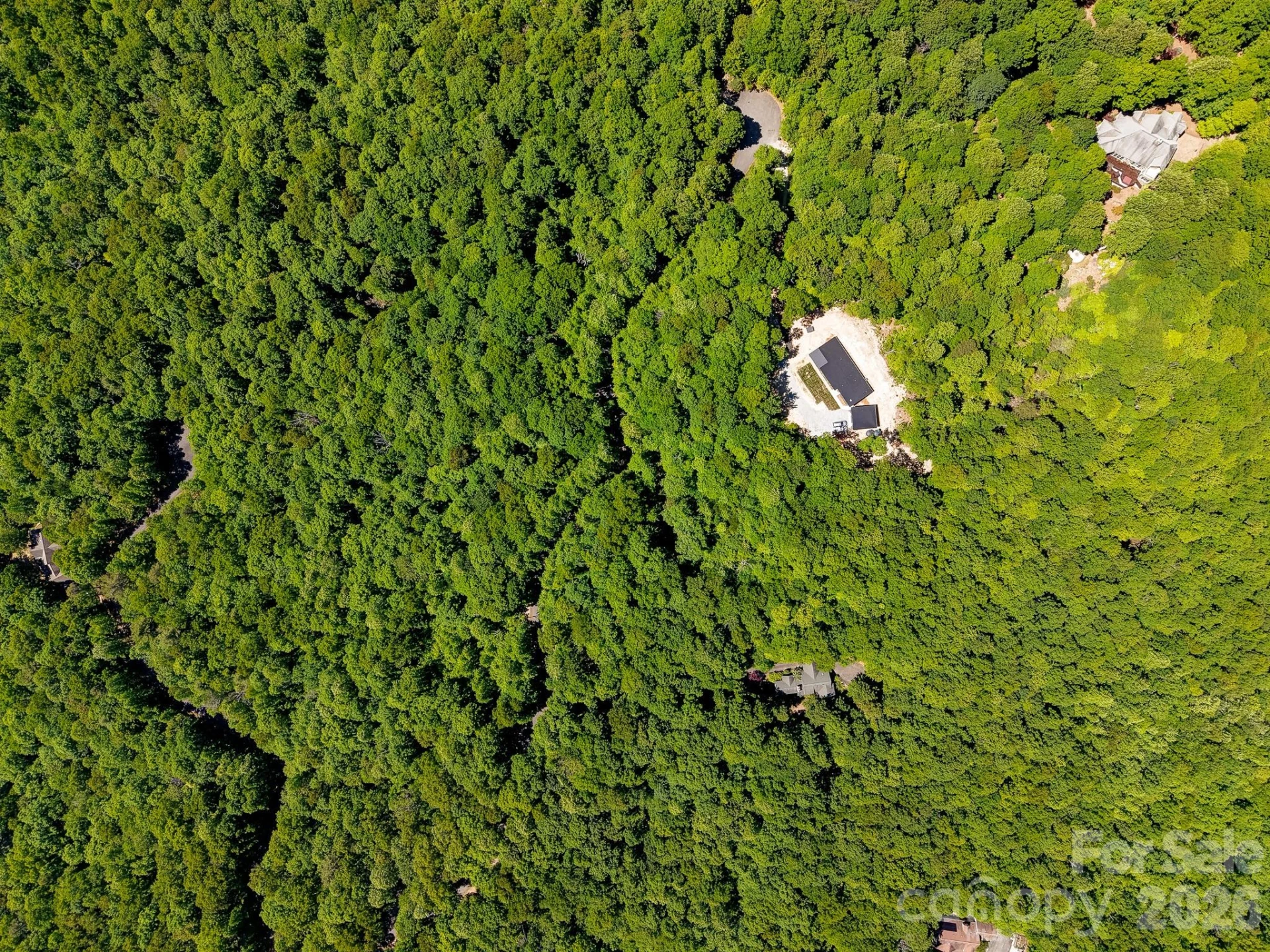 99999 Black Bear Ridge Trail - Photo 18