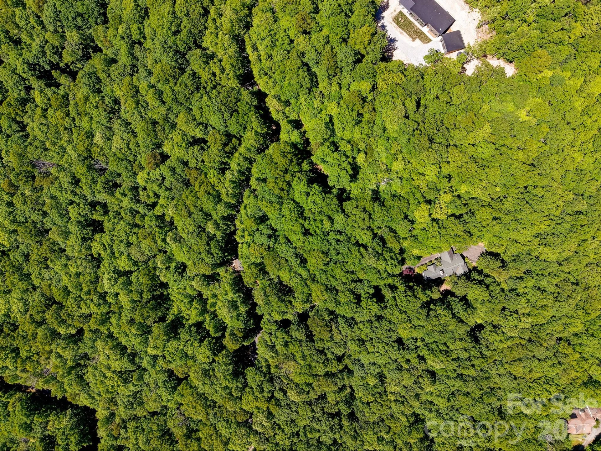 99999 Black Bear Ridge Trail - Photo 20