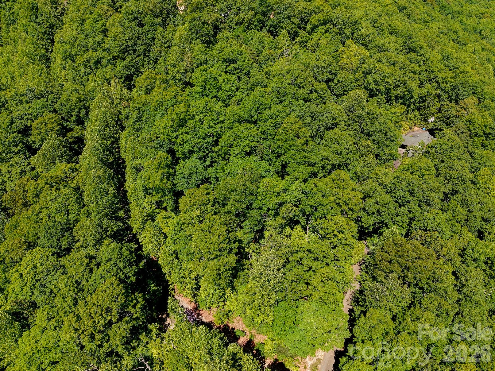 99999 Black Bear Ridge Trail - Photo 21