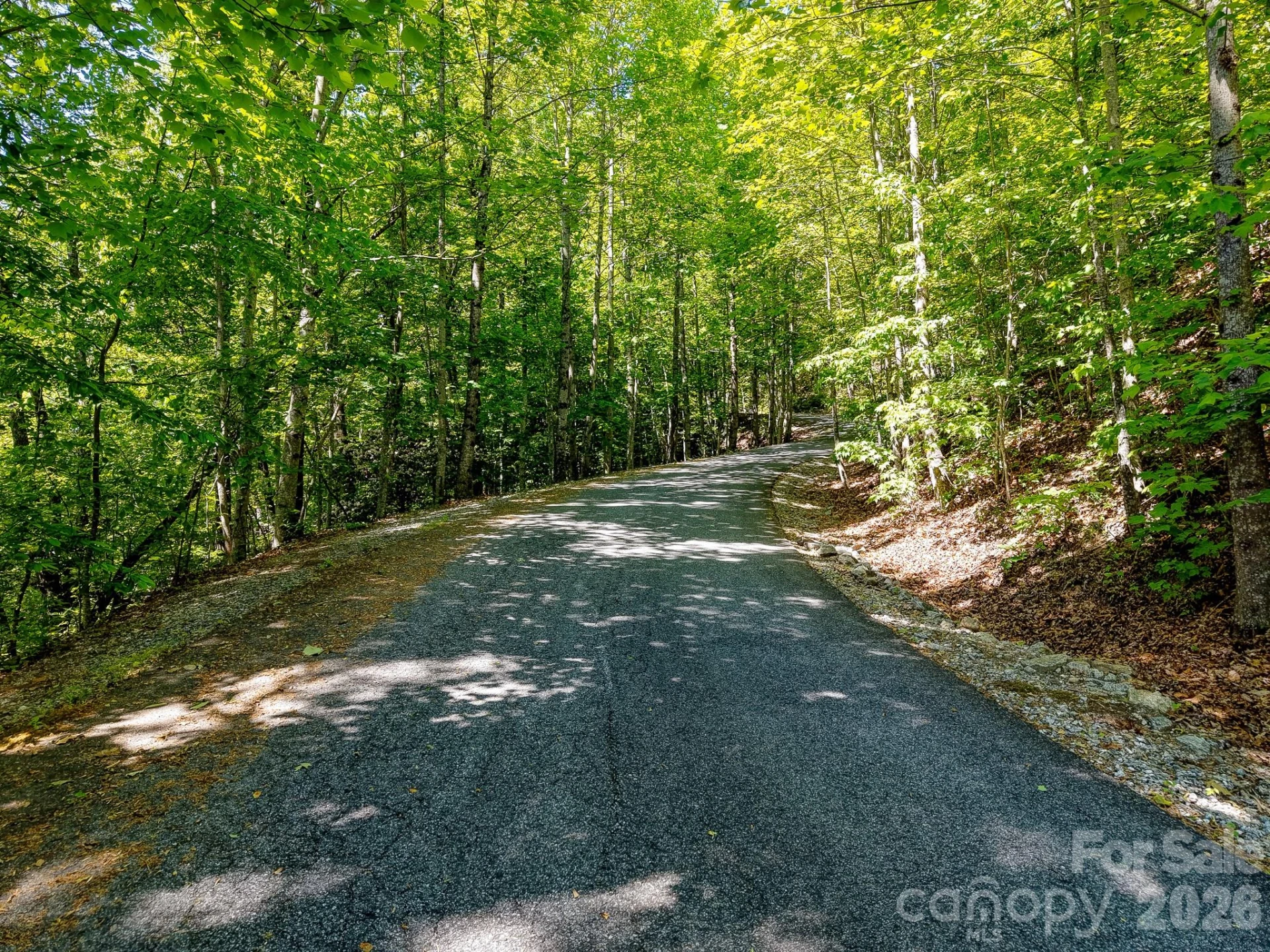 99999 Black Bear Ridge Trail - Photo 22