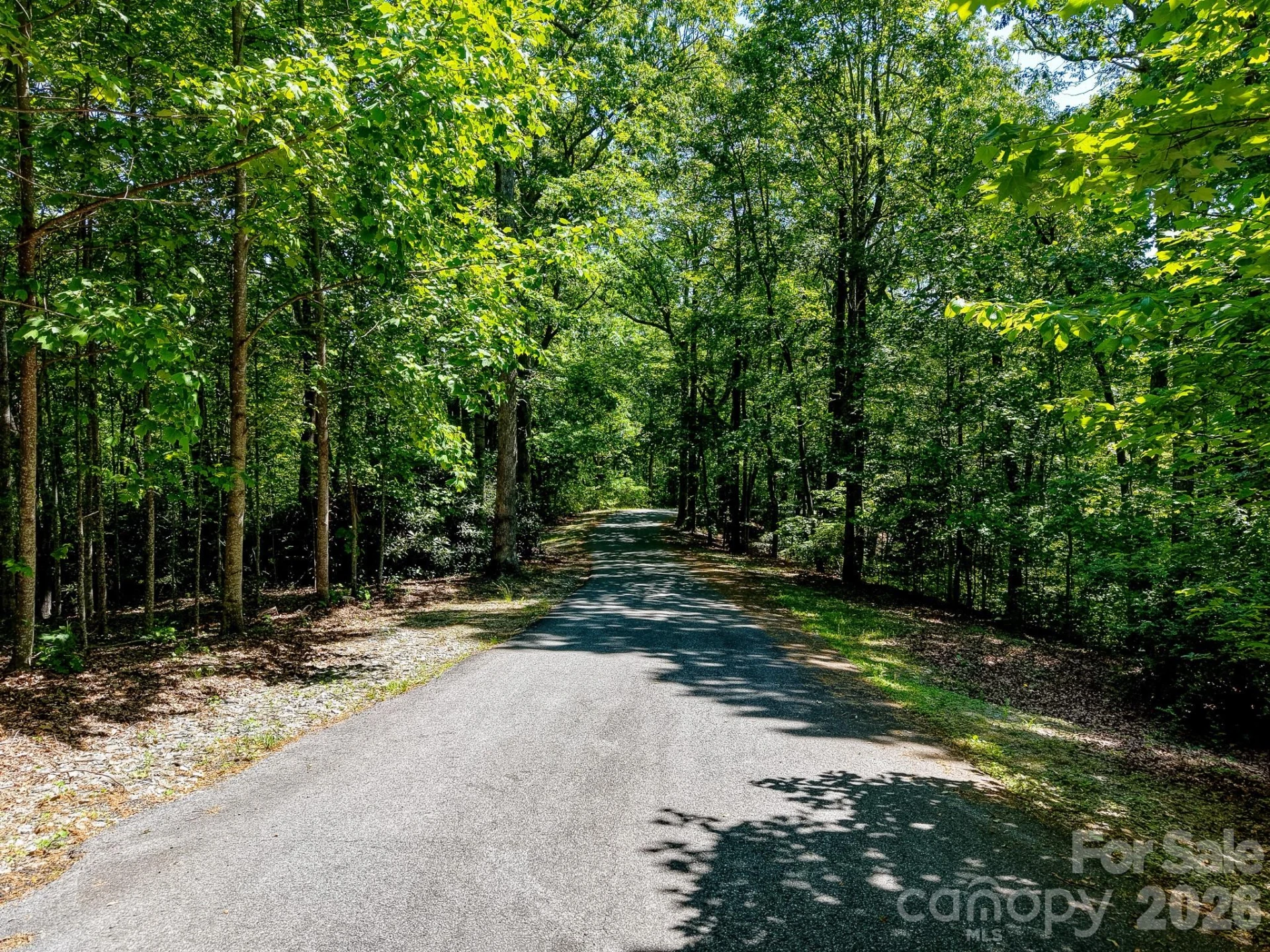 99999 Black Bear Ridge Trail - Photo 23