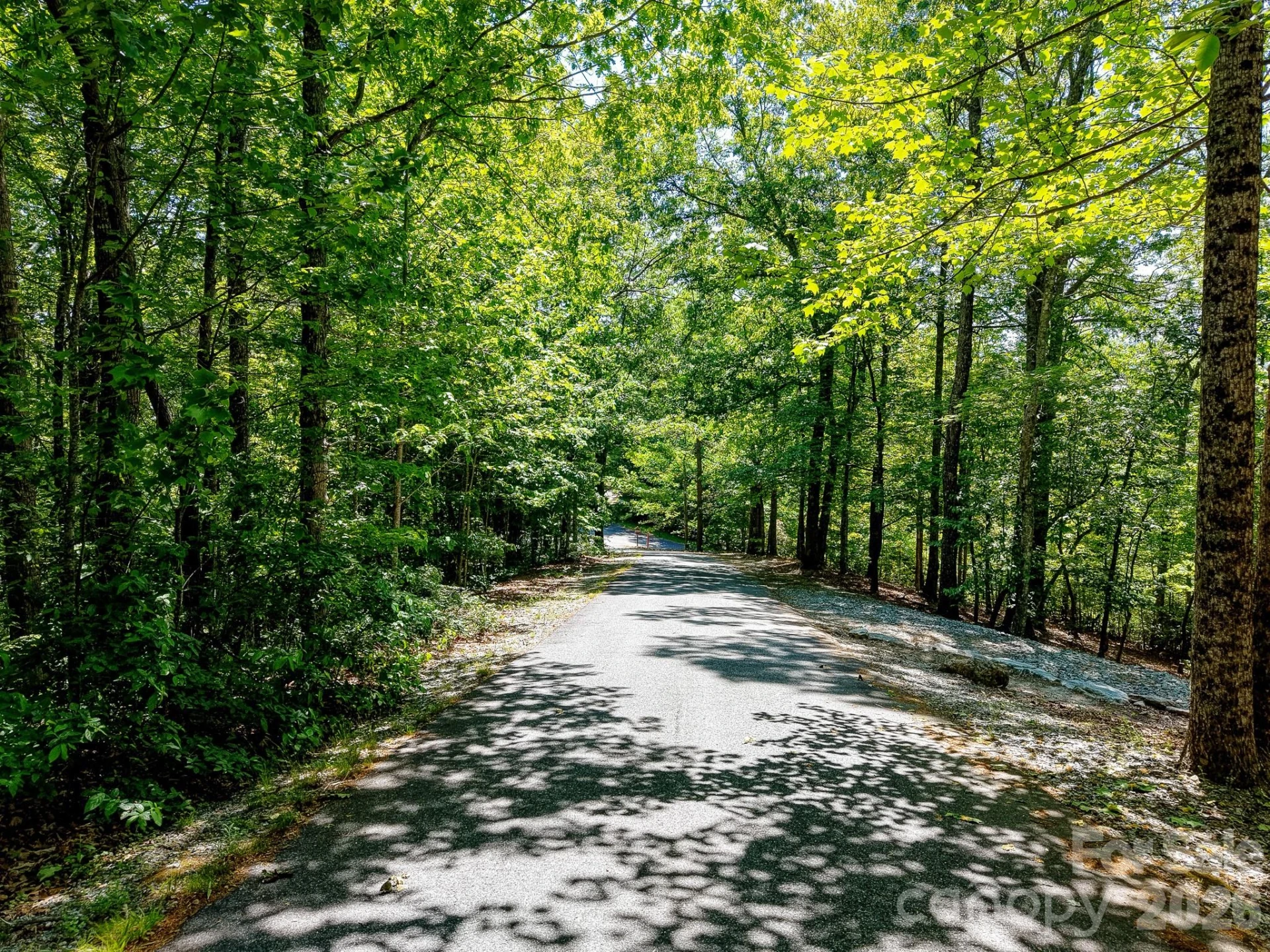 99999 Black Bear Ridge Trail - Photo 24