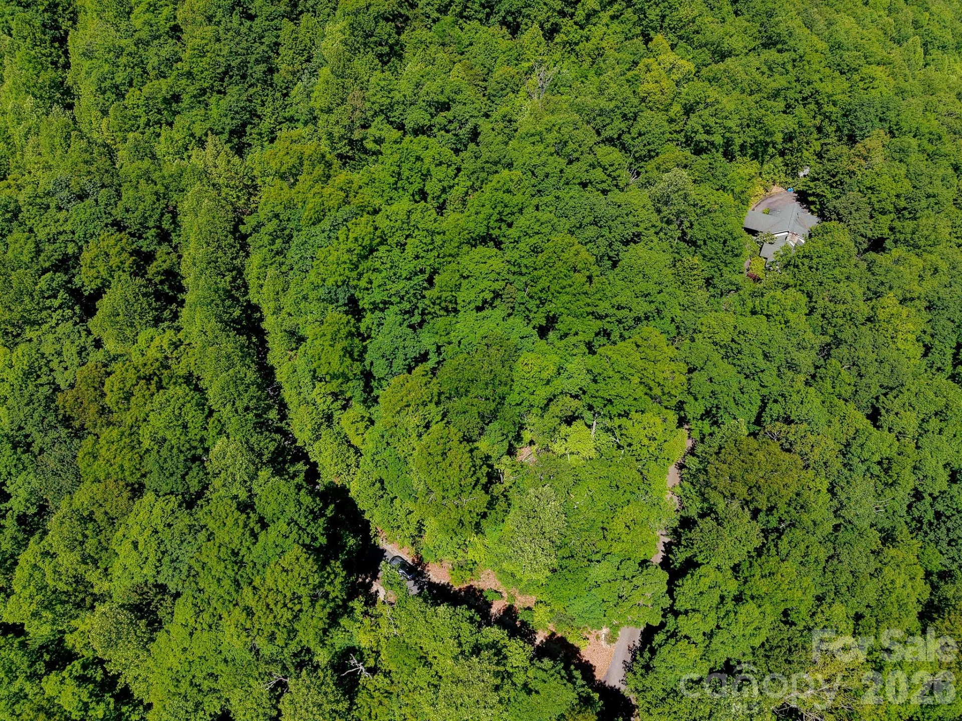 99999 Black Bear Ridge Trail - Photo 25