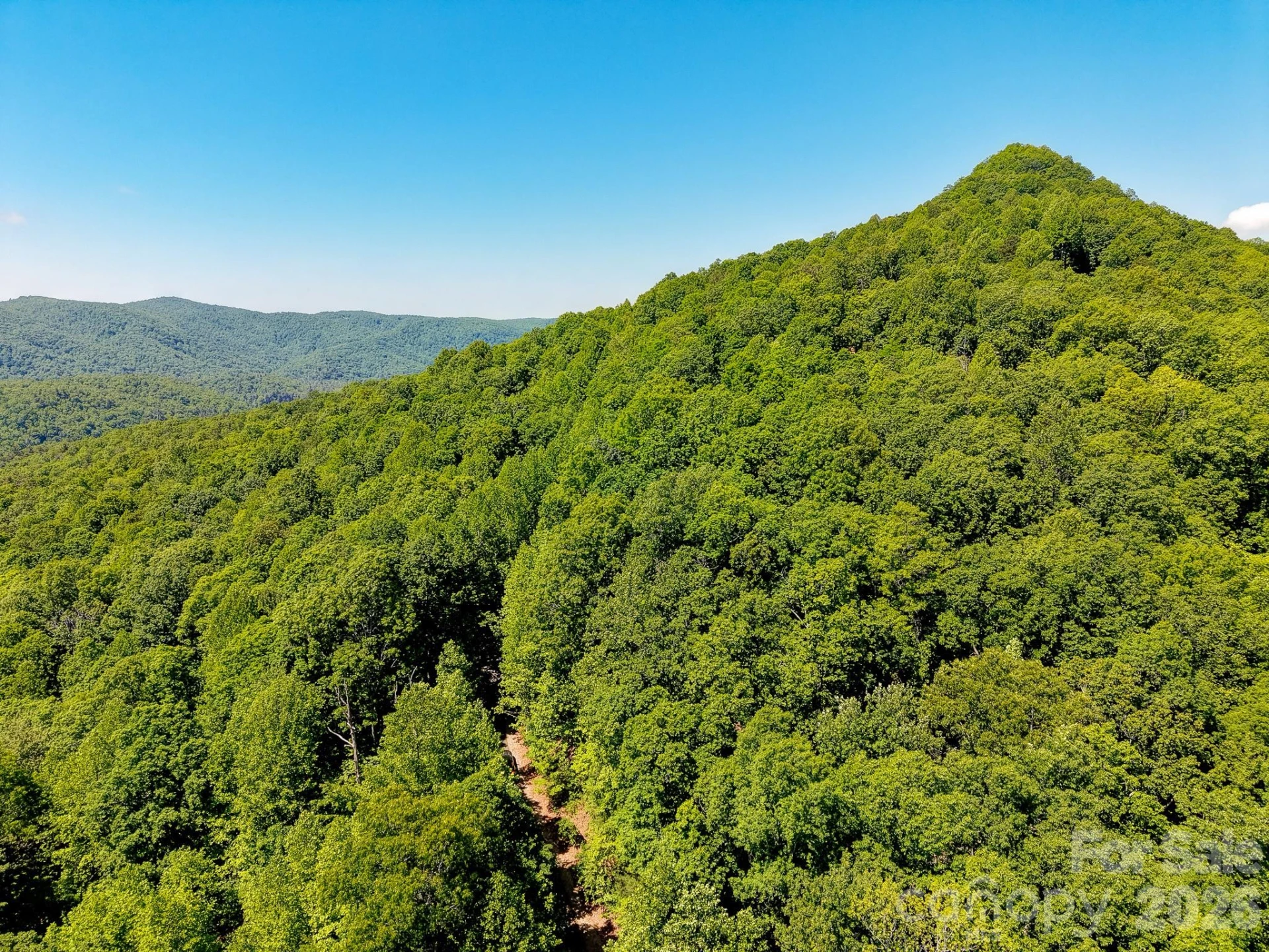 99999 Black Bear Ridge Trail - Photo 26