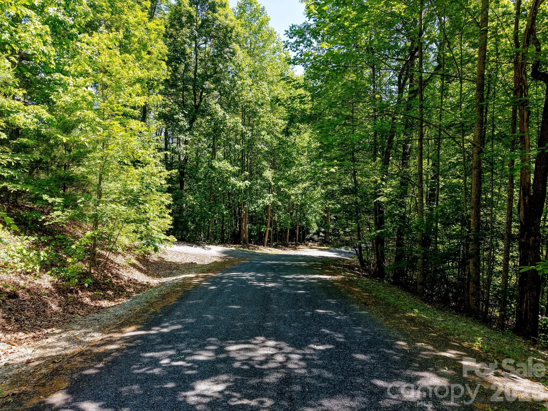 99999 Black Bear Ridge Trail - Photo 4