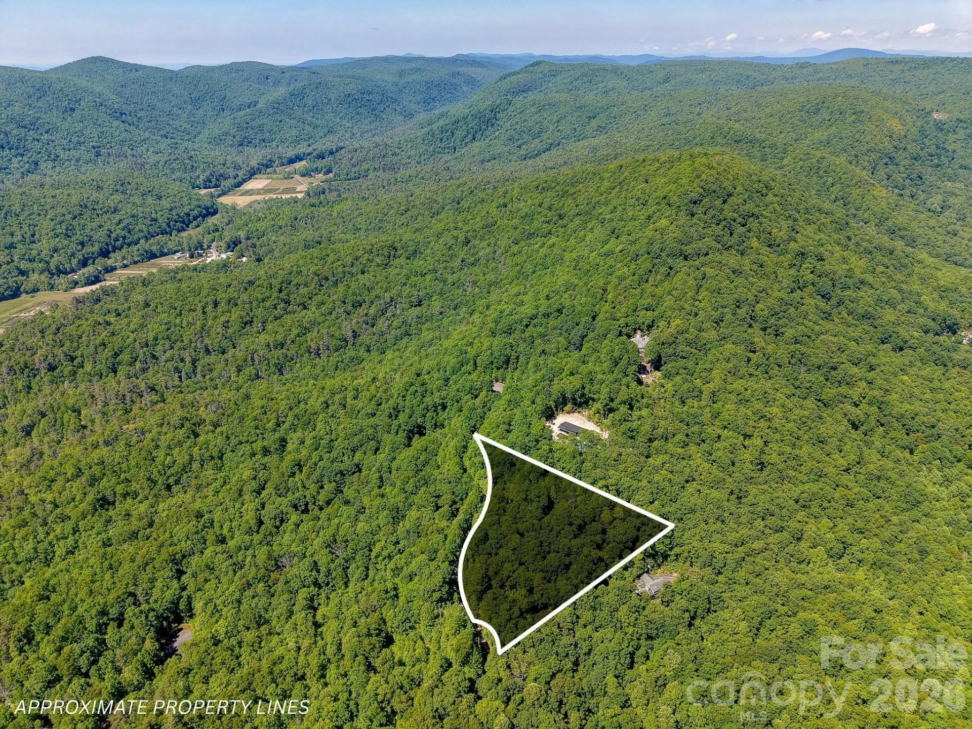 99999 Black Bear Ridge Trail - Photo 10
