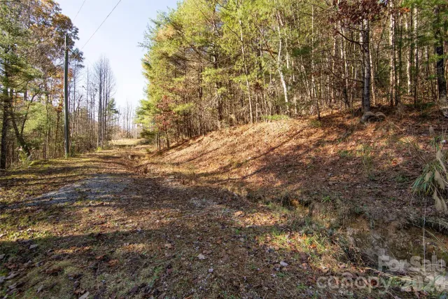 99999 Big Raven Lane, Saluda, NC, 28773