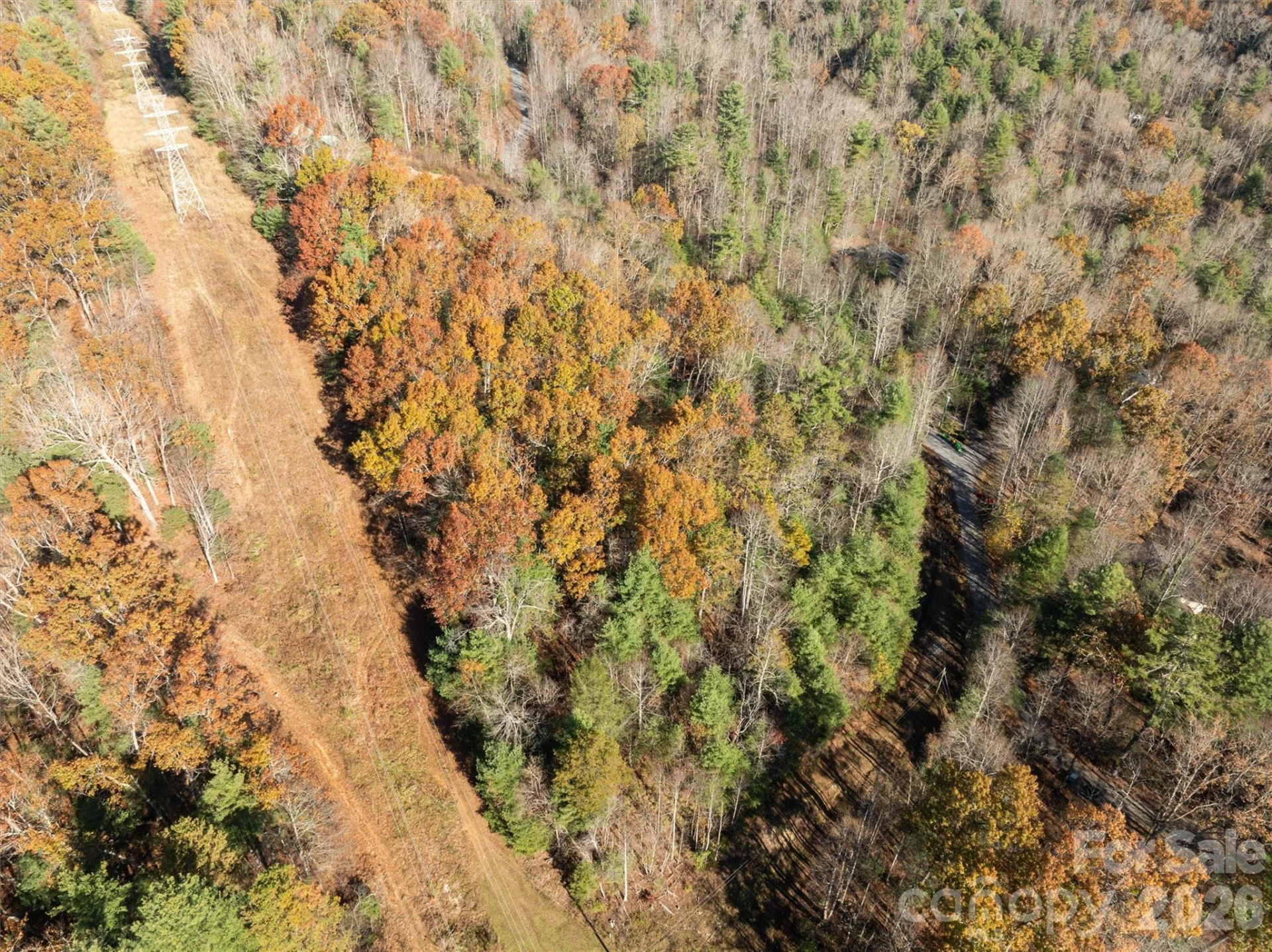 99999 Big Raven Lane - Photo 11