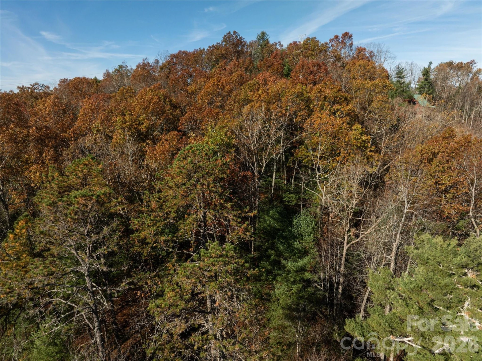 99999 Big Raven Lane - Photo 14